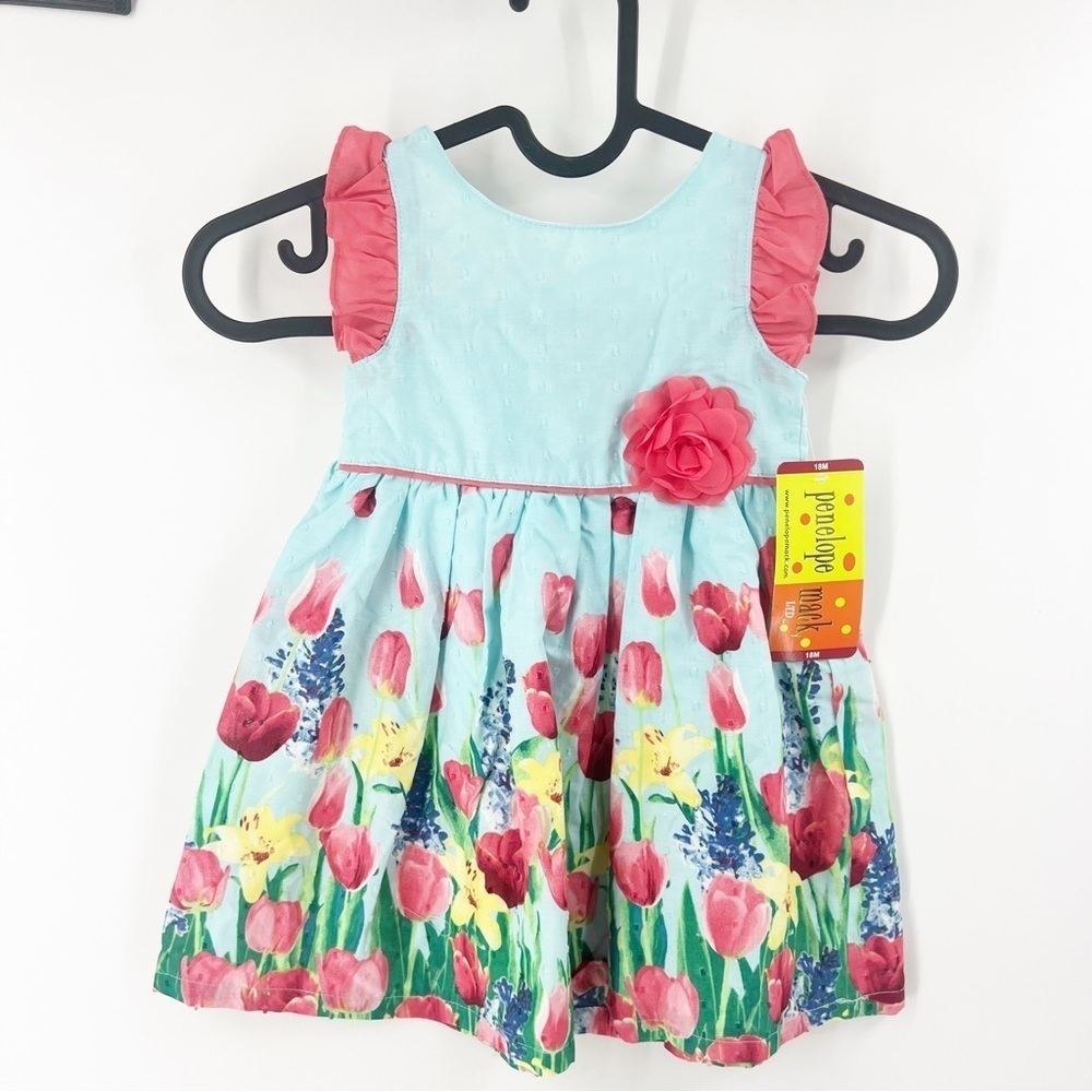 ✅ NWT Girl’s Penelope Mack LTD Multicolor Floral Dress size 18M‎